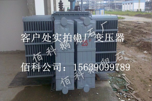 客戶想要購買齊全的水處理鵝卵石到哪里去？